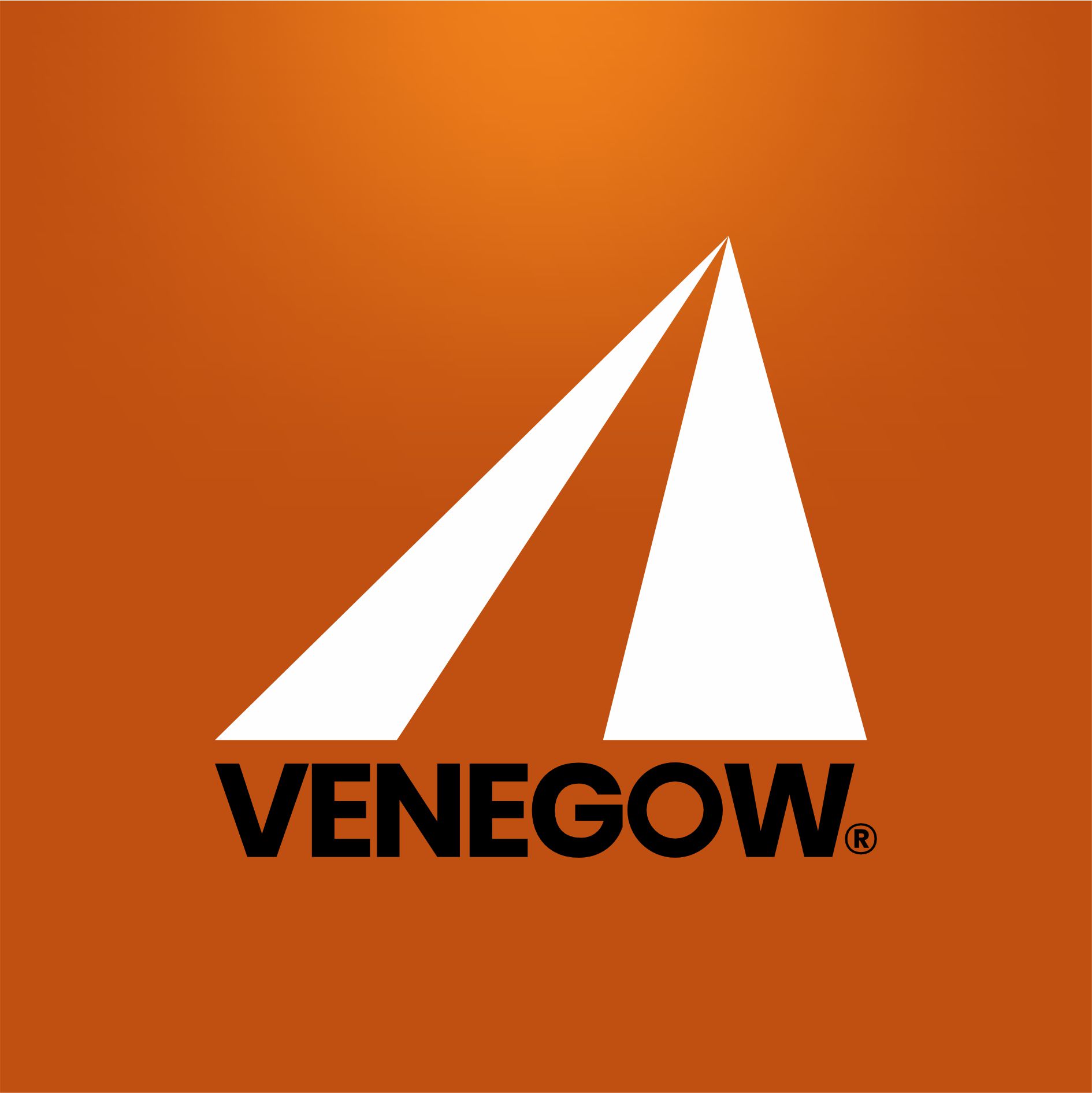 Venegow Car Rentals logo